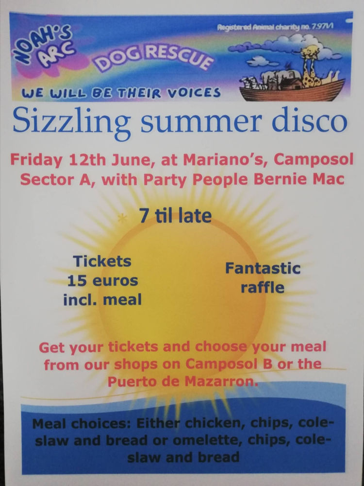 Poster for Sizzling Summer Disco