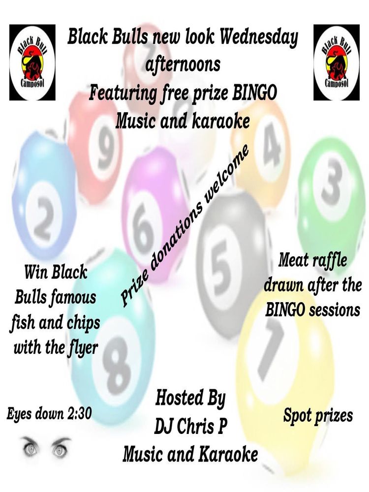 Poster for Bingo