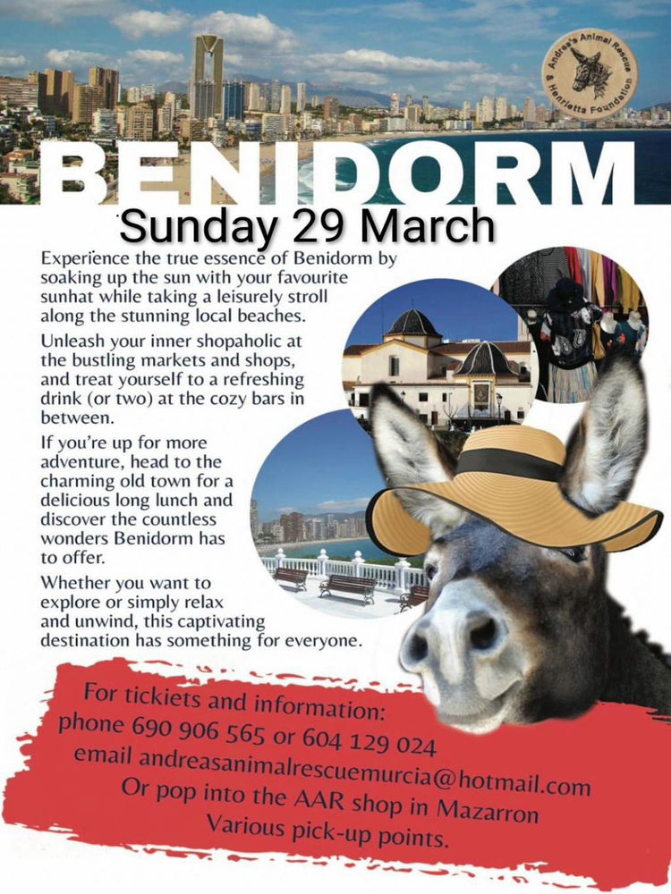 Poster for Benidorm